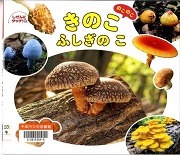 きのこのこのこふしぎのこ表紙