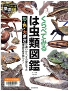 こどもリスクマネジメント