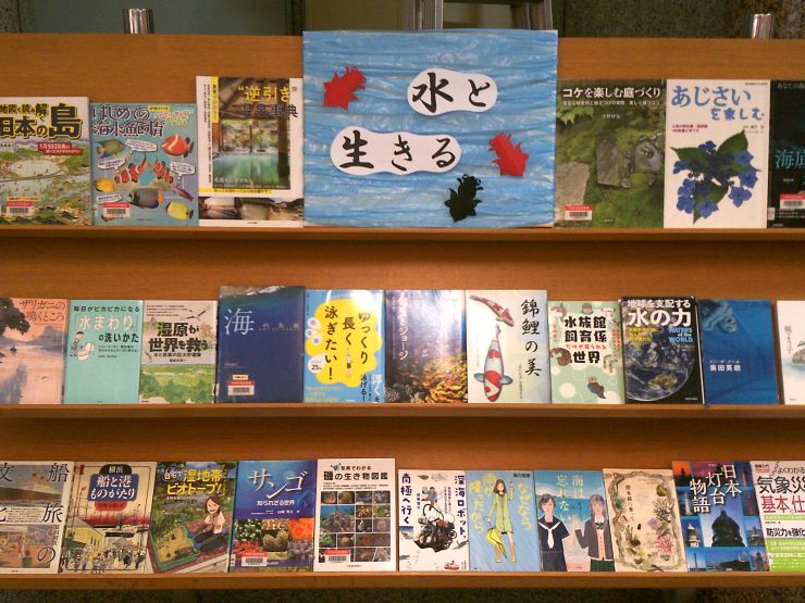 6月一般向け展示写真